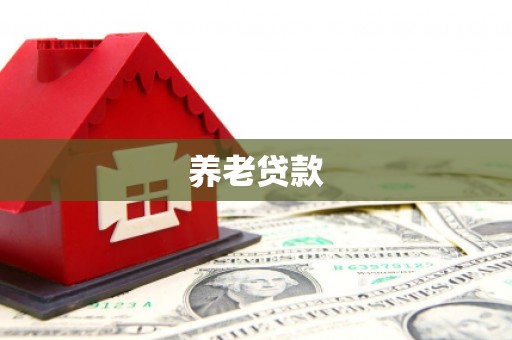 蒸湘养老贷款
