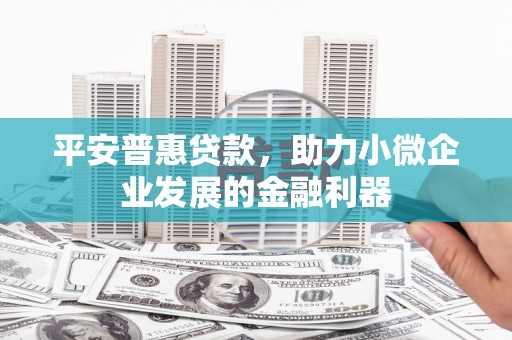 蒸湘平安普惠贷款，助力小微企业发展的金融利器