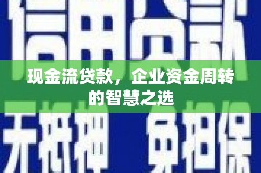 蒸湘现金流贷款，企业资金周转的智慧之选
