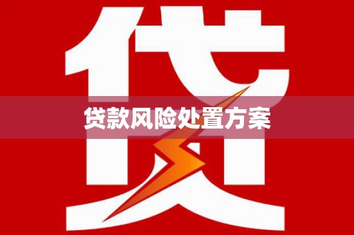 蒸湘贷款风险处置方案