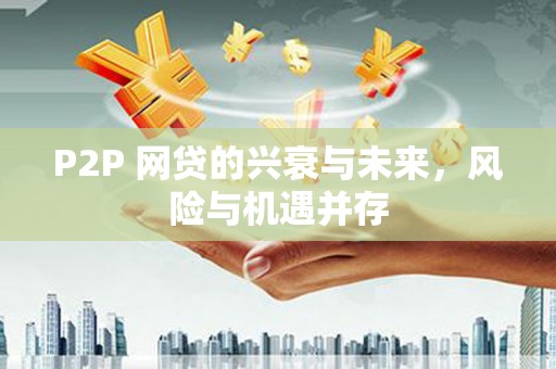 蒸湘P2P 网贷的兴衰与未来，风险与机遇并存