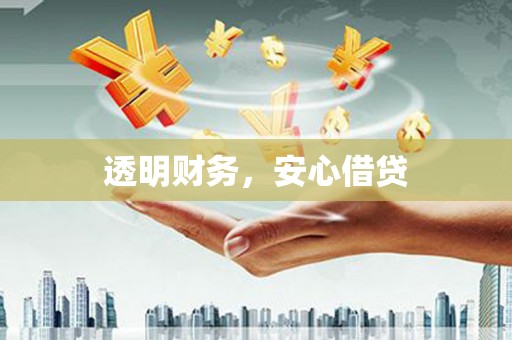 蒸湘透明财务，安心借贷