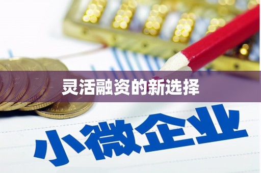蒸湘灵活融资的新选择