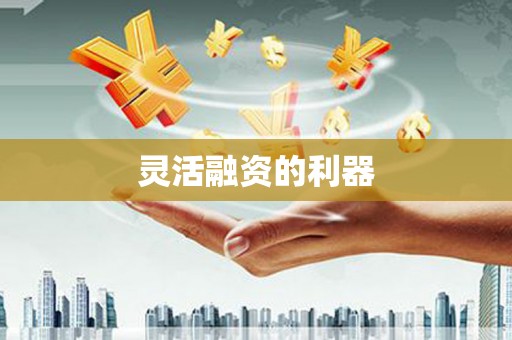 蒸湘灵活融资的利器