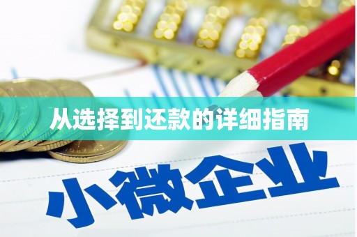 蒸湘从选择到还款的详细指南