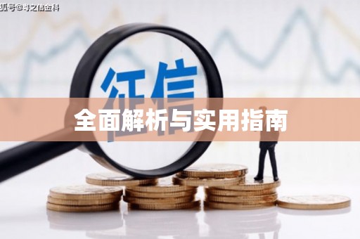 蒸湘全面解析与实用指南