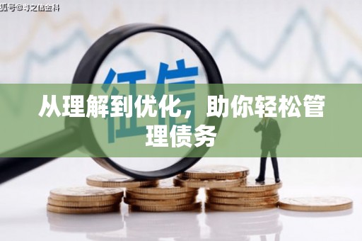 蒸湘从理解到优化，助你轻松管理债务