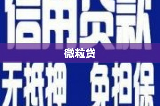 蒸湘微粒贷