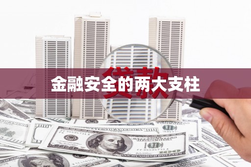 蒸湘金融安全的两大支柱